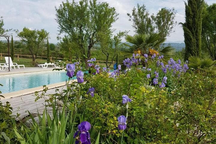 Les Maisons De Chante Oiseau photo 2