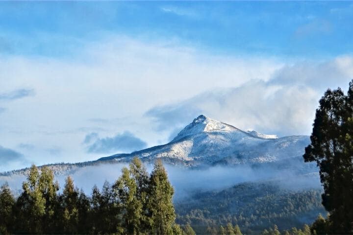 Maydena Mountain Cabins photo 5