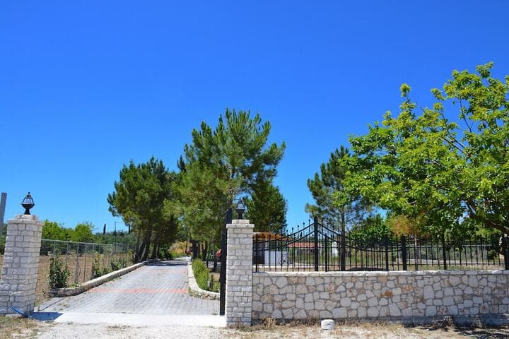 Alexandra Apartments photo 2