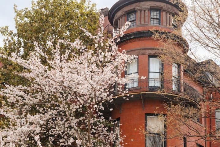 Found Dupont Circle powered by Sonder photo 3