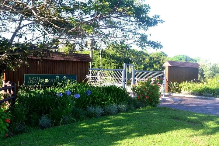 Baviaanshoek photo 3