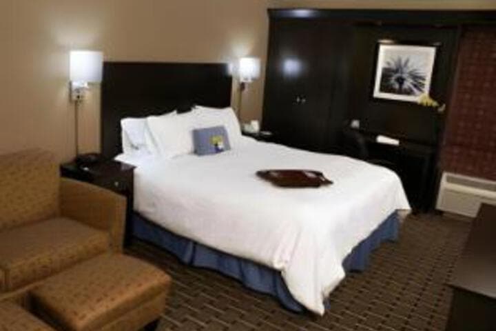 Spark by Hilton Tampa Brandon photo 5