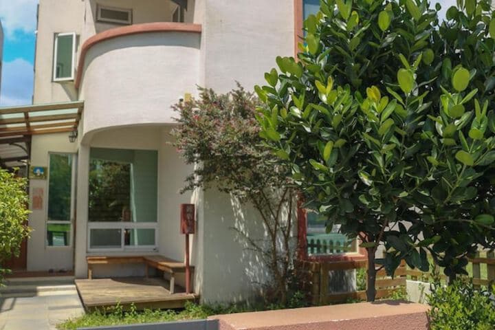 Soft Travel Hostel photo 3