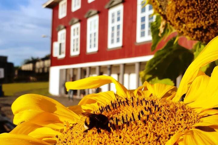 Oslo Hostel Rønningen photo 2