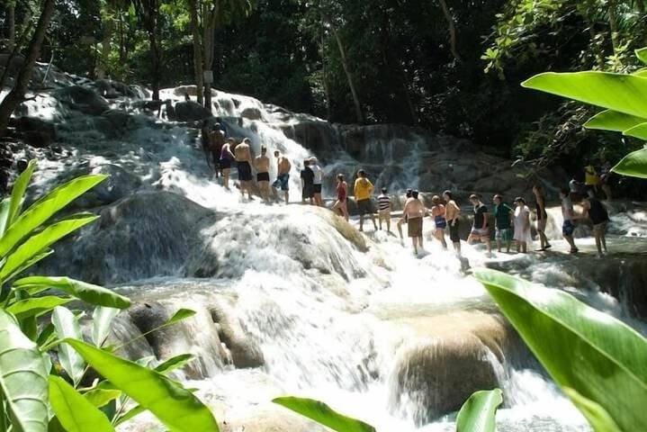 Ocho Rios Villa at the Palms photo 4