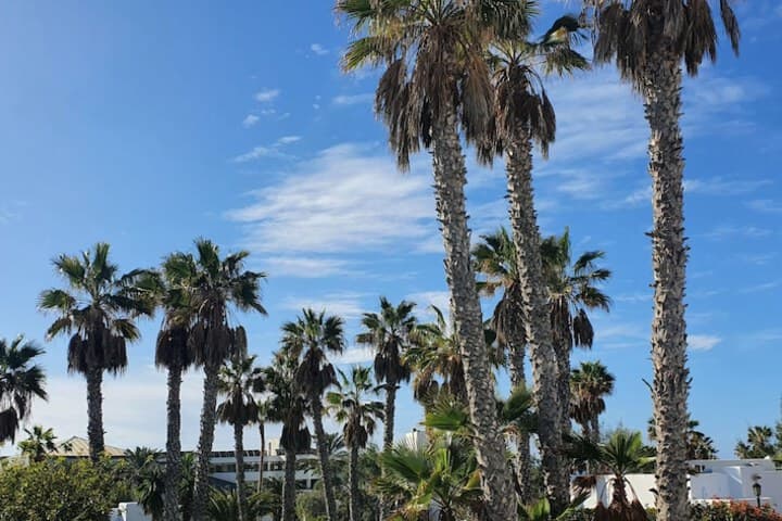 Palmeras Garden photo 4