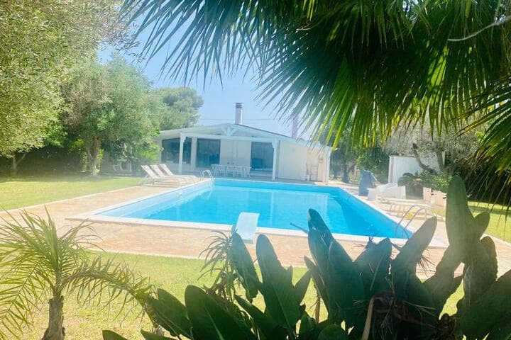 Villa Anita photo 3