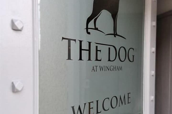 The Dog at Wingham photo 5