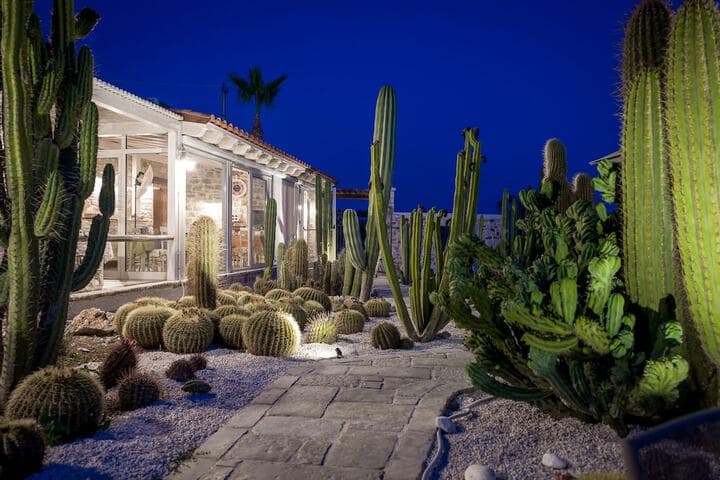 Relais Garden Cactus B&B photo 5