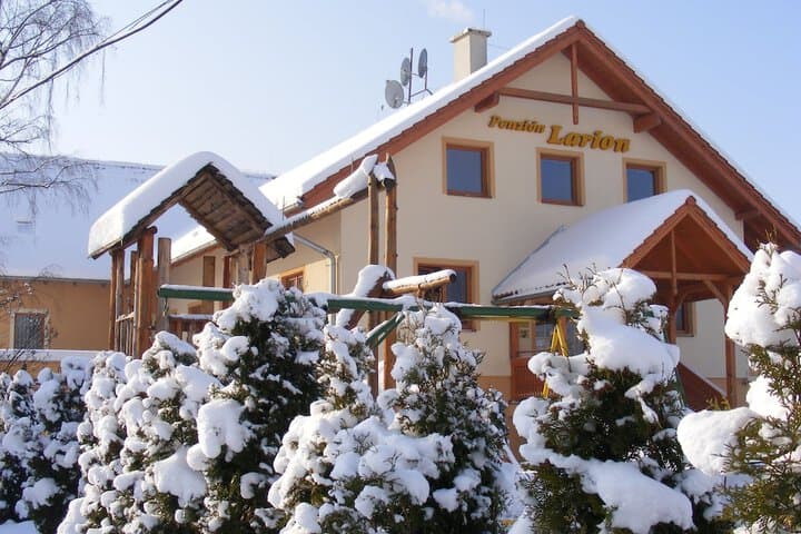 Penzion Larion photo 3
