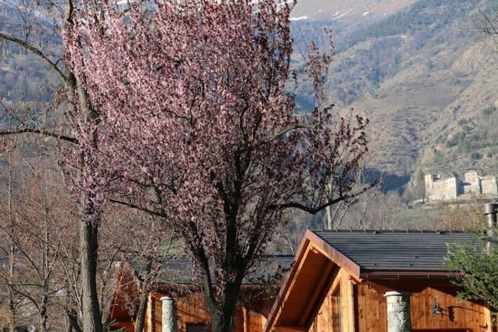 Lazy Bee Camping Village photo 5
