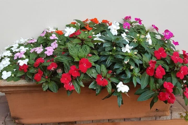 Ocean Park Guest House photo 2