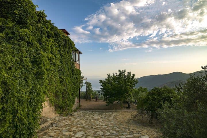 Villa Vino photo 3