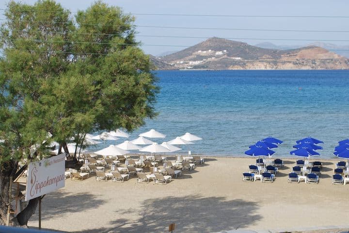 Fish & Olive destination view