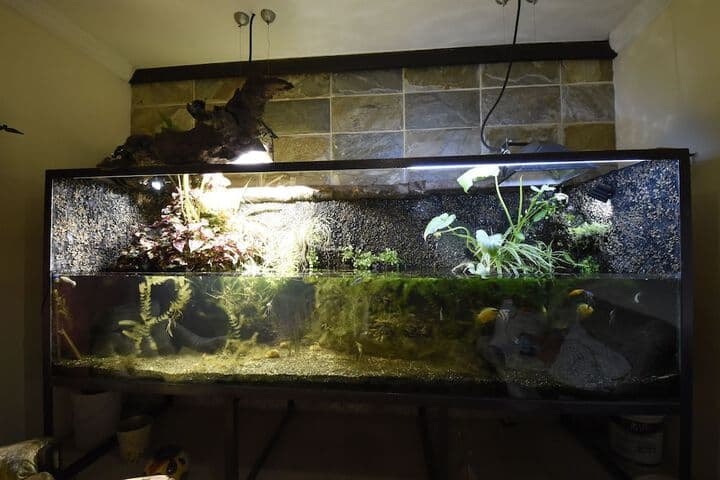 Blue Mango Lodge photo 5