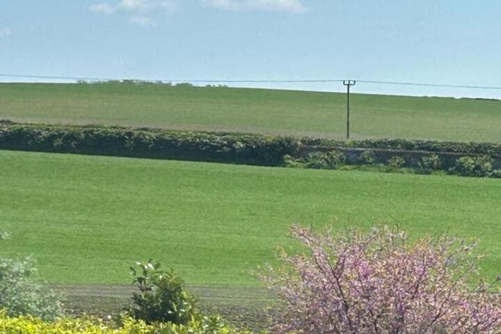 The Nelson photo 5