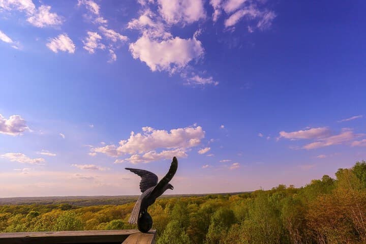 Treetop Retreat photo 2