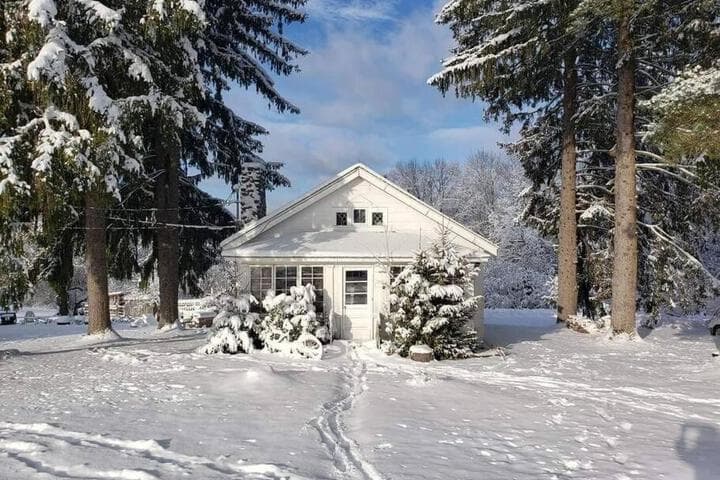 The Enchanted Cottage photo 4