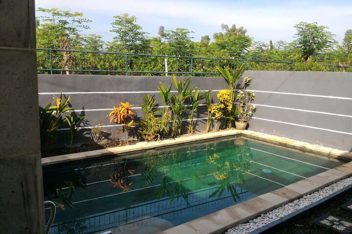 Villa Dencarik photo 5