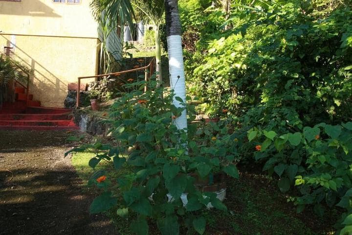 La Familia Guesthouse photo 2