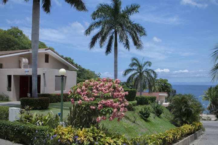 Bahia Pez Vela Resort photo 2