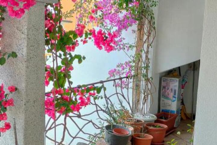 Villa Alberto photo 3
