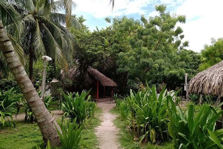 Las Palmeras photo 2