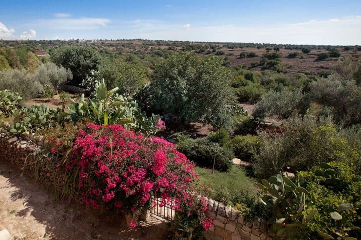 Tenuta Cammarana photo 4