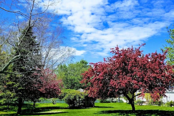 Whalewalk Inn&Spa photo 3