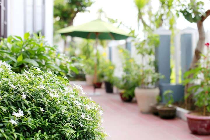 Rice Flower Homestay photo 4