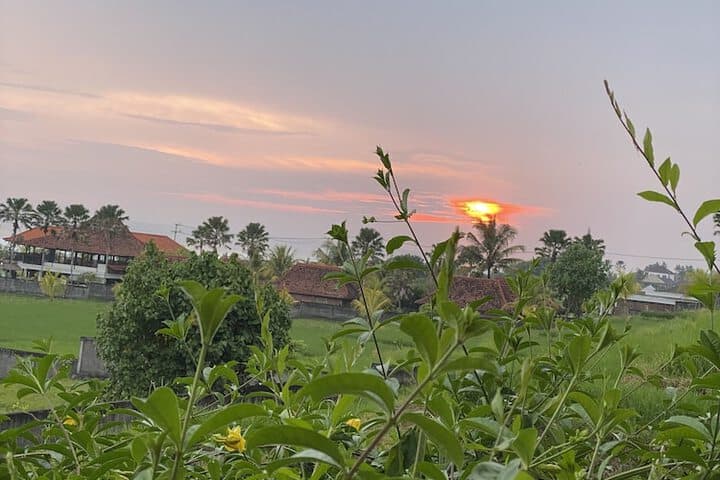 Dikaloha Medewi Surfcamp photo 4