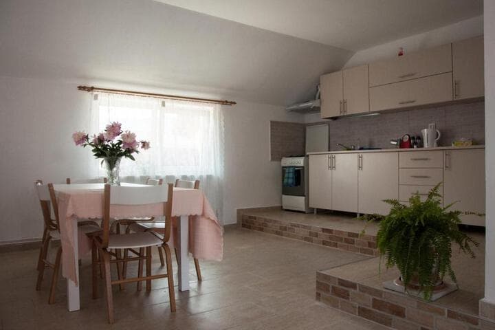 Pensiunea Casa Elena photo 2