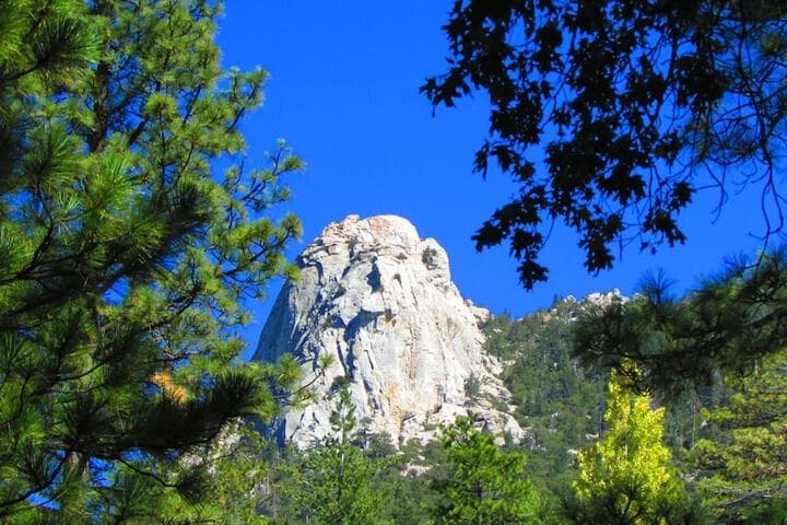 Always Inn Idyllwild Vacation Cottages photo 3
