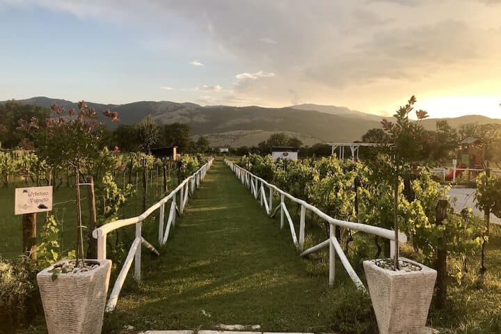 Ca del Conte photo 3
