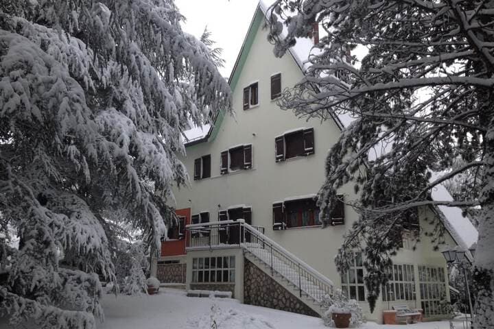 Gli Scoiattoli photo 4