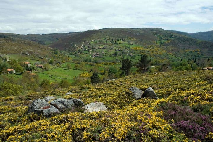 Branda da Aveleira photo 4