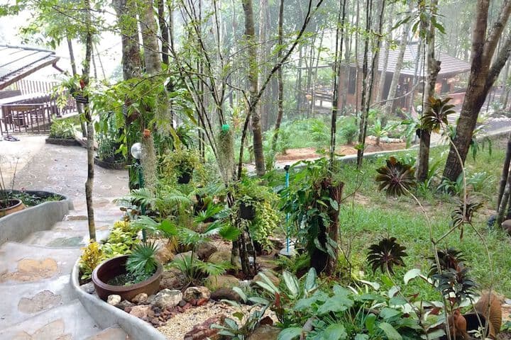 Chestnut Hill Eco Resort photo 4