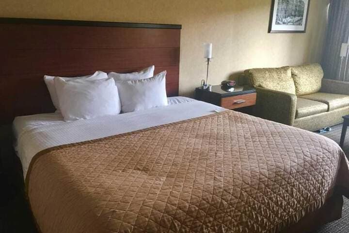 Quality Hotel Philadelphia Airport photo 5
