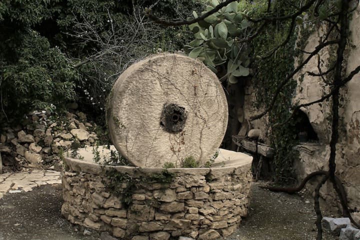 Villa Giardinata photo 5