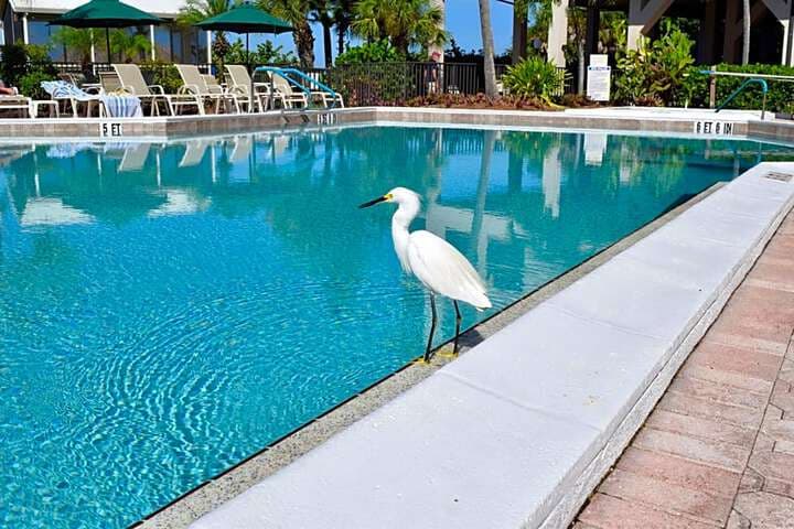 Caribbean Beach Club photo 5