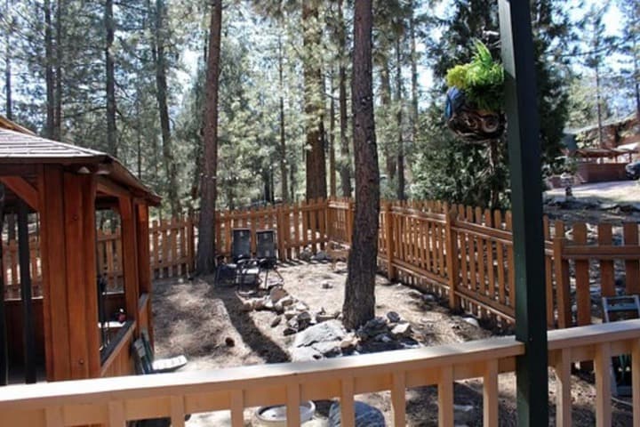 The Old Bear BnB photo 2