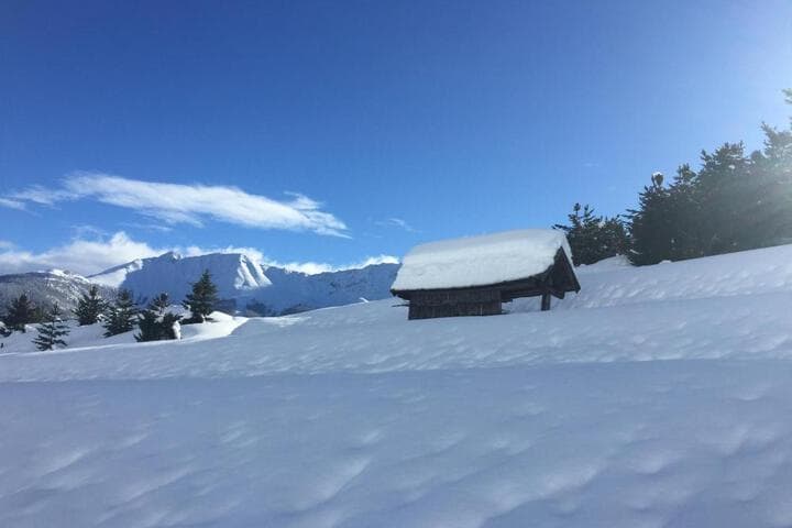 Haus Christina photo 5