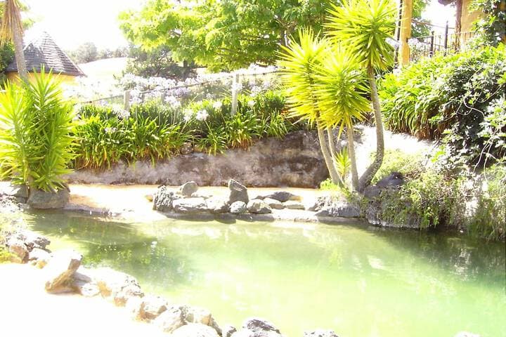 The Mudcastle photo 5
