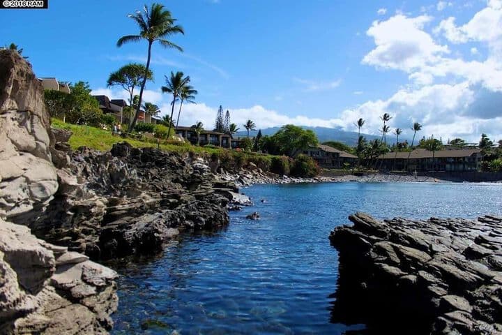 Napili Point A8 photo 3