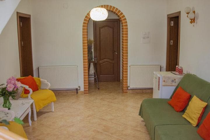 Pensiunea Casa Elena photo 1