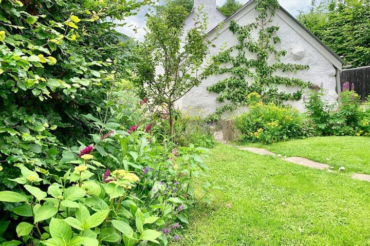 Wester Auchraw Croft B&B photo 4