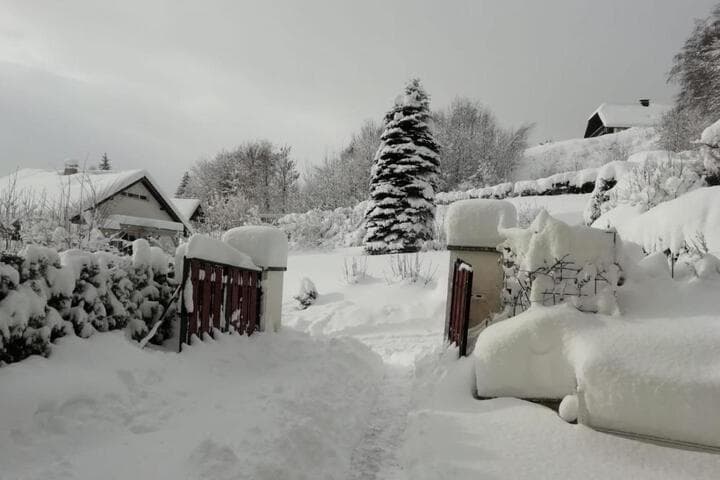Tannenhof photo 4