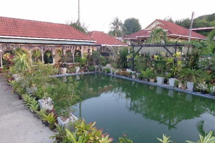 One D Homestay photo 4