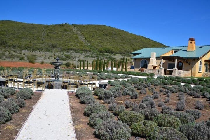 Thorn Hill Vineyard Villas photo 5
