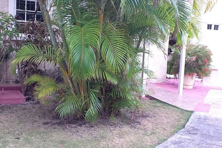 Seabliss Villa photo 4